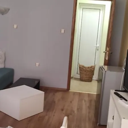 за гости на град Ii Бургас